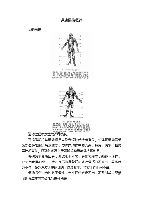 运动损伤概述