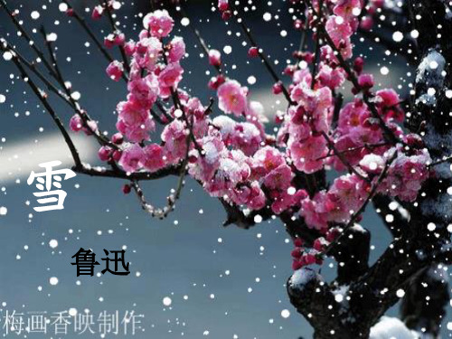 鲁迅《雪》PPT优秀课件