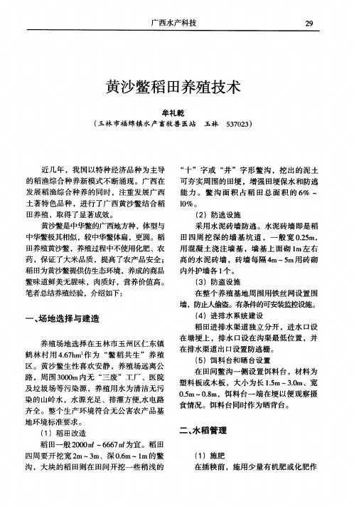 黄沙鳖稻田养殖技术