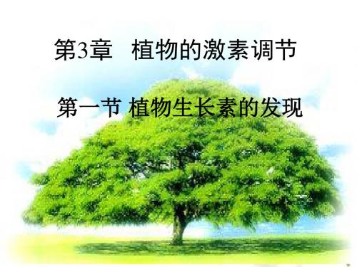 人教版高中生物必修3第3章第1节 植物生长素的发现 课件 (共35张PPT)