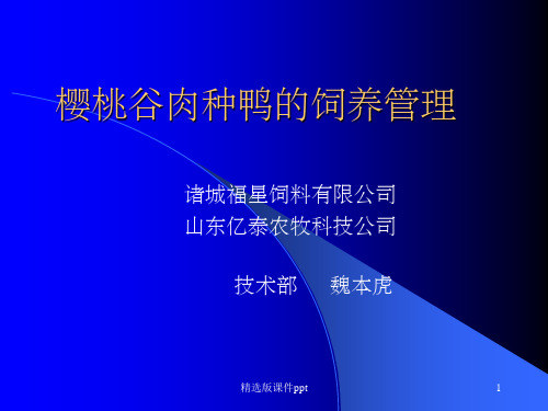 樱桃谷肉种鸭的饲养管理