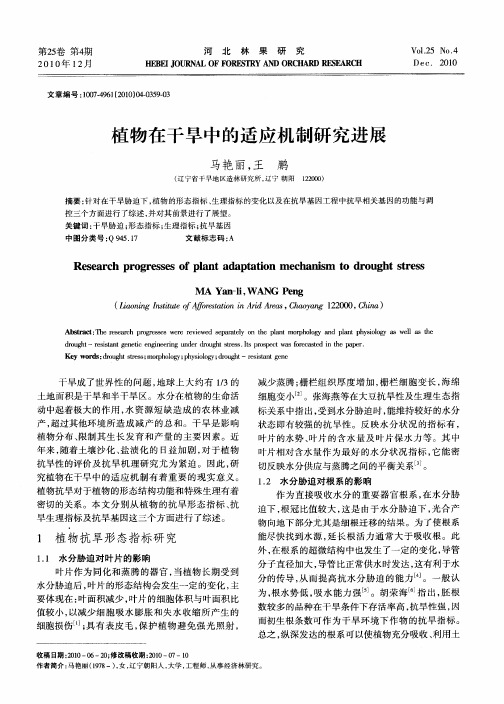 植物在干旱中的适应机制研究进展