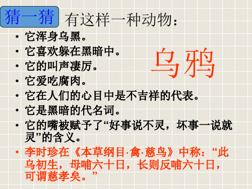 《高三语文阅读与写作》PPT课件