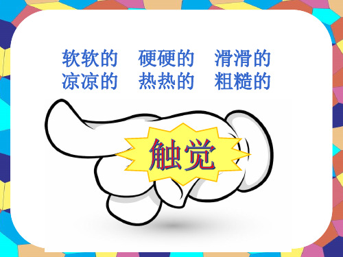 二年级上册美术课件-18.画触觉 ｜苏少版 (共34张PPT)
