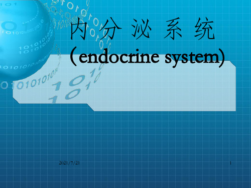 《内分泌系统》PPT课件_OK