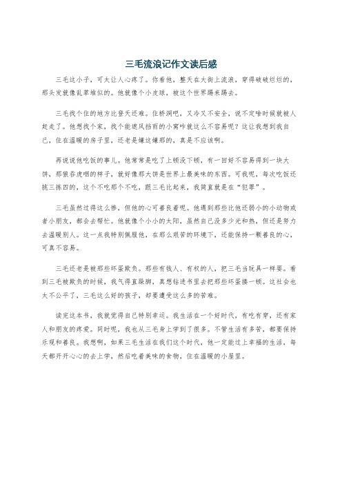 三毛流浪记作文读后感
