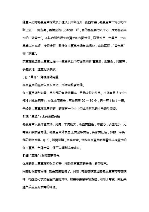 冬虫夏草质量辨别