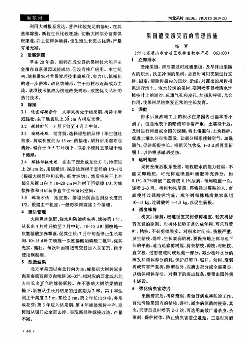 果园遭受涝灾后的管理措施