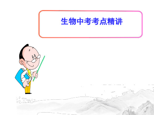 (名师整理)最新人教版生物中考《绿色开花植物的一生》考点精讲课件