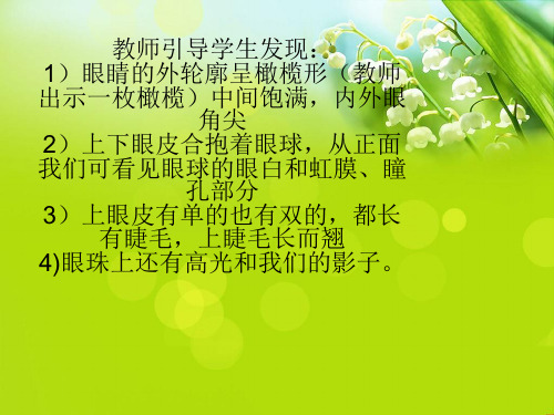 大眼睛一年级美术精品PPT课件