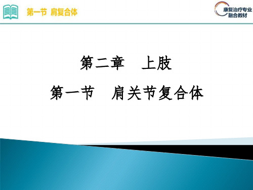 2.1.第二章 上肢 第一节 肩关节复合体