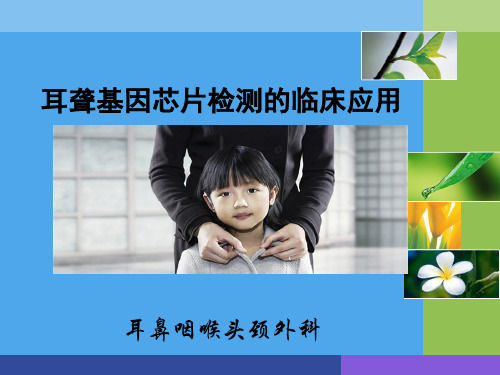 遗传性非综合征性耳聋基因检测精品PPT课件