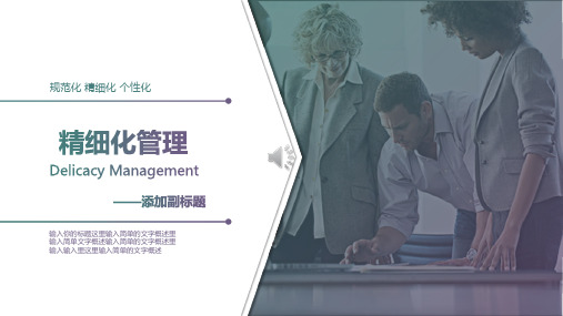 精细化管理精美PPT (1)