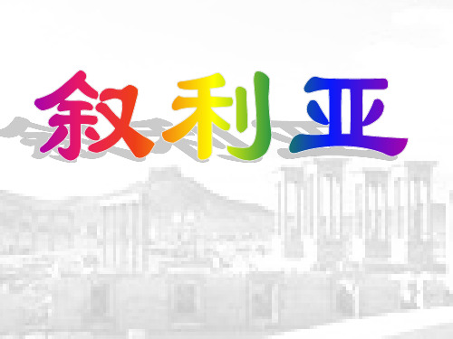9叙利亚的卖水人