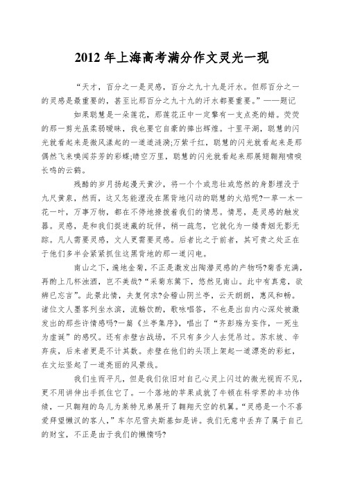 2012年上海高考满分作文灵光一现