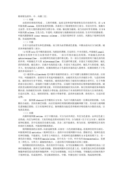 2012解剖学辅导指导：眼球壁的结构与解剖简述