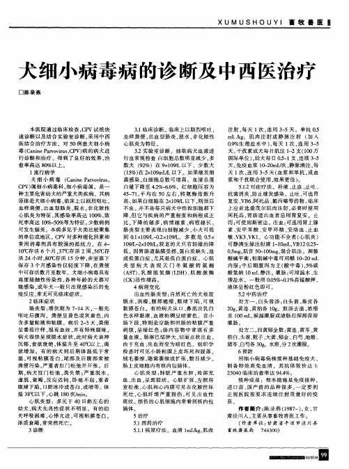 犬细小病毒病的诊断及中西医治疗