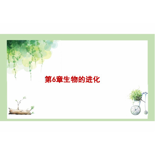 生物有同祖先的证据高中生物学(共16张PPT)