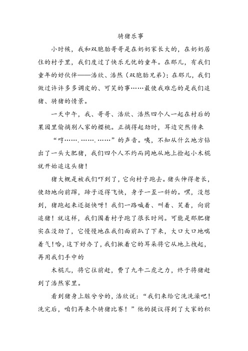 小学生优秀作文之骑猪乐事