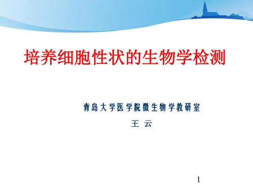 细胞生物学检测