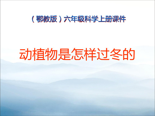 《动植物是怎样过冬的》四季中的变化PPT课件3【优秀课件PPT】