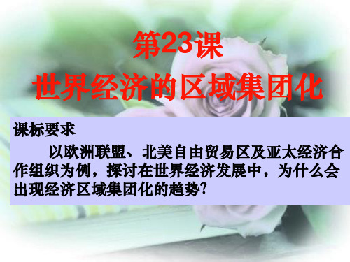 人教版高中历史必修二课件：23课世界经济的区域集团化 (共32张PPT)