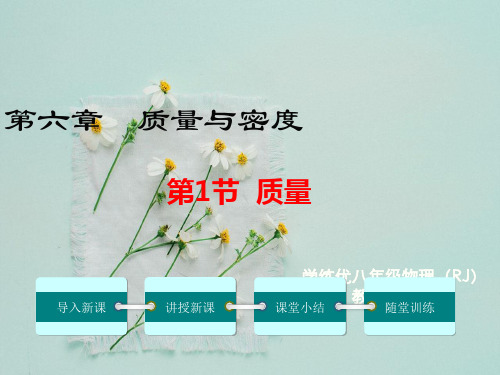 物理八上第六章-质量与密度ppt教学课件第1节  质量