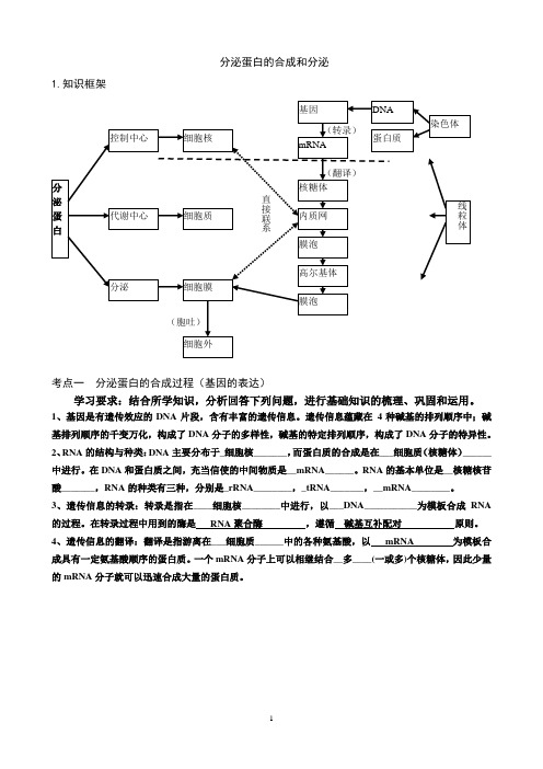 蛋白的合成和分泌专题