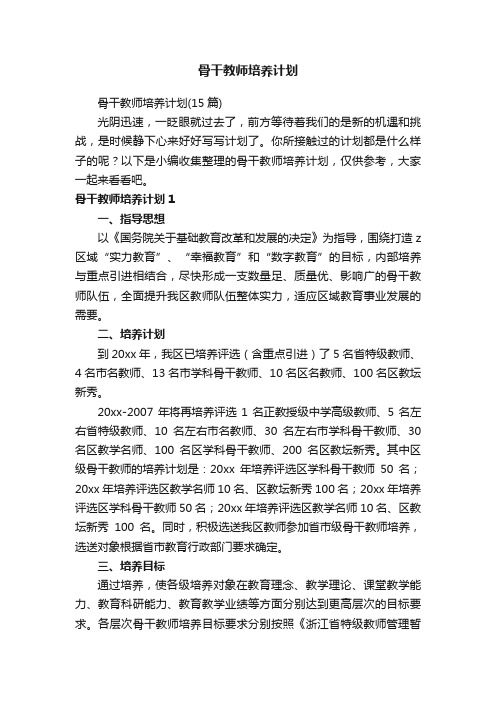 骨干教师培养计划