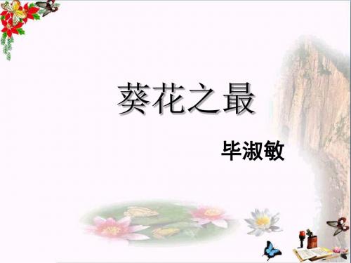 六年级语文下册第7课《葵花之最》(课文详解)教学 PPT精品课件冀教版