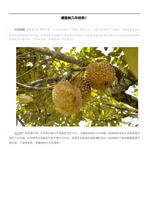 榴莲树几年结果