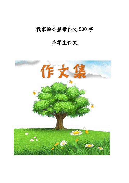 我家的小皇帝作文500字-[小学生优秀作文]