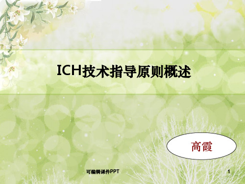 ICH技术指导原则概述