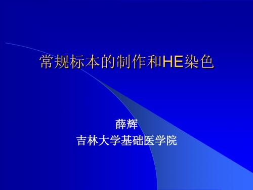 吉林大学HE染色