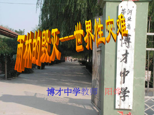 雨林的毁灭——世界性灾难