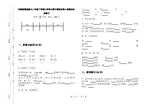 科教版精选练习二年级下学期小学语文期中模拟试卷A卷课后知识练习