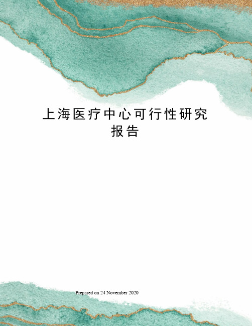 上海医疗中心可行性研究报告