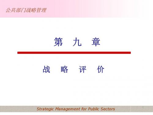 第九章战略评价资料
