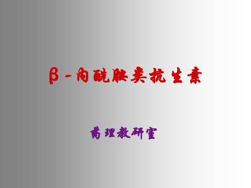 β-内酰胺类抗生素