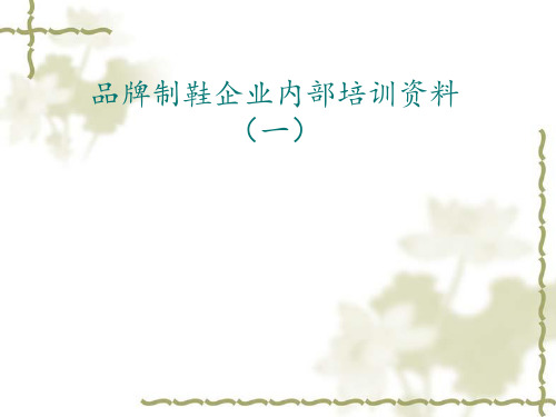 品牌制鞋企业内部培训资料(一)PPT课件