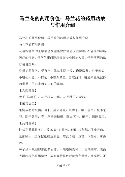 马兰花的药用价值：马兰花的药用功效与作用介绍