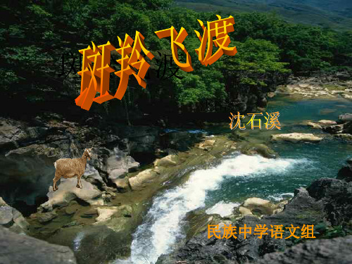 斑羚飞渡1