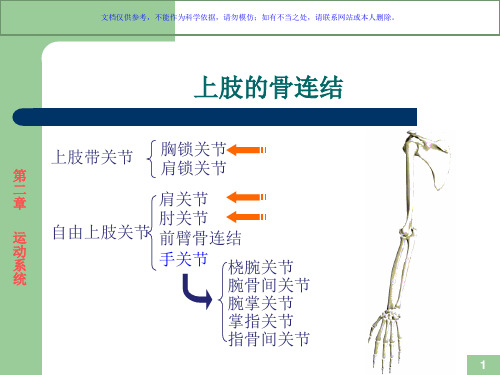 运动解剖学关节的形态观察及运动形式课件