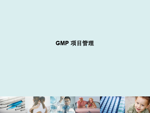 GMP项目管理