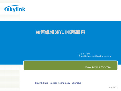 SKYLINK隔膜泵维修PPT解析