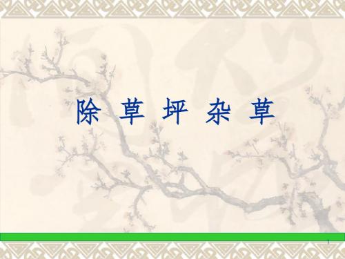 草坪除草ppt课件