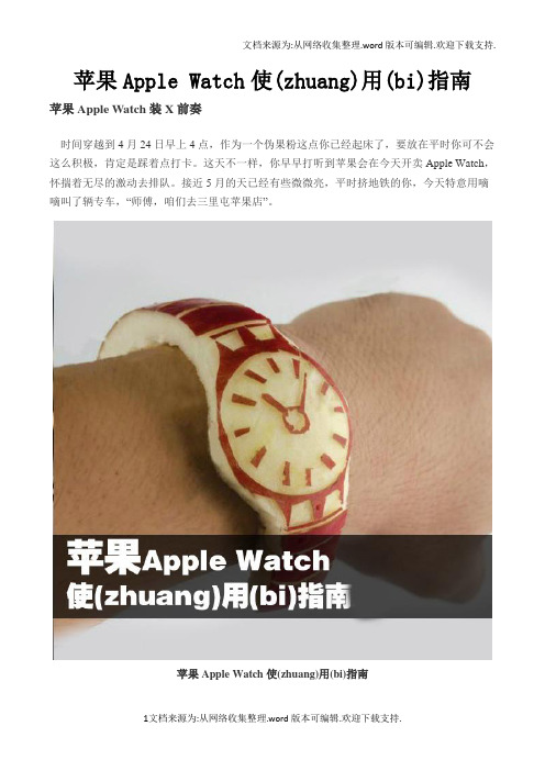 苹果AppleWatch使(zhuang)用(bi)指南