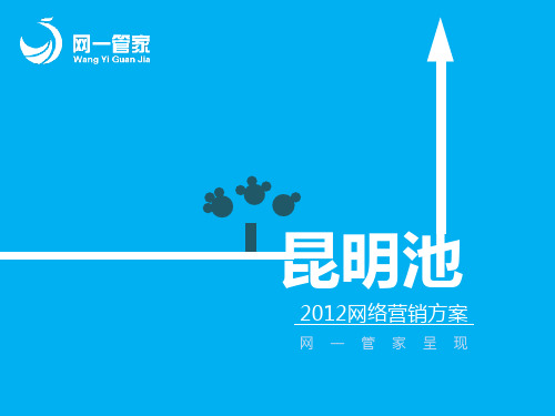昆明池整体网络营销推广方案