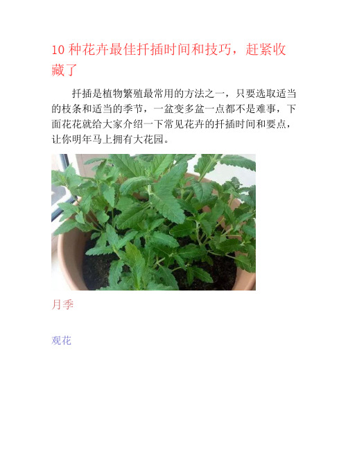10种花卉最佳扦插时间和技巧,赶紧收藏了-养花技巧