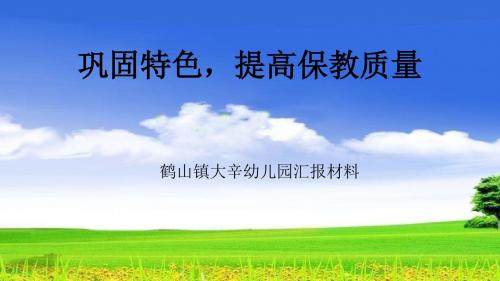 论坛汇报材料